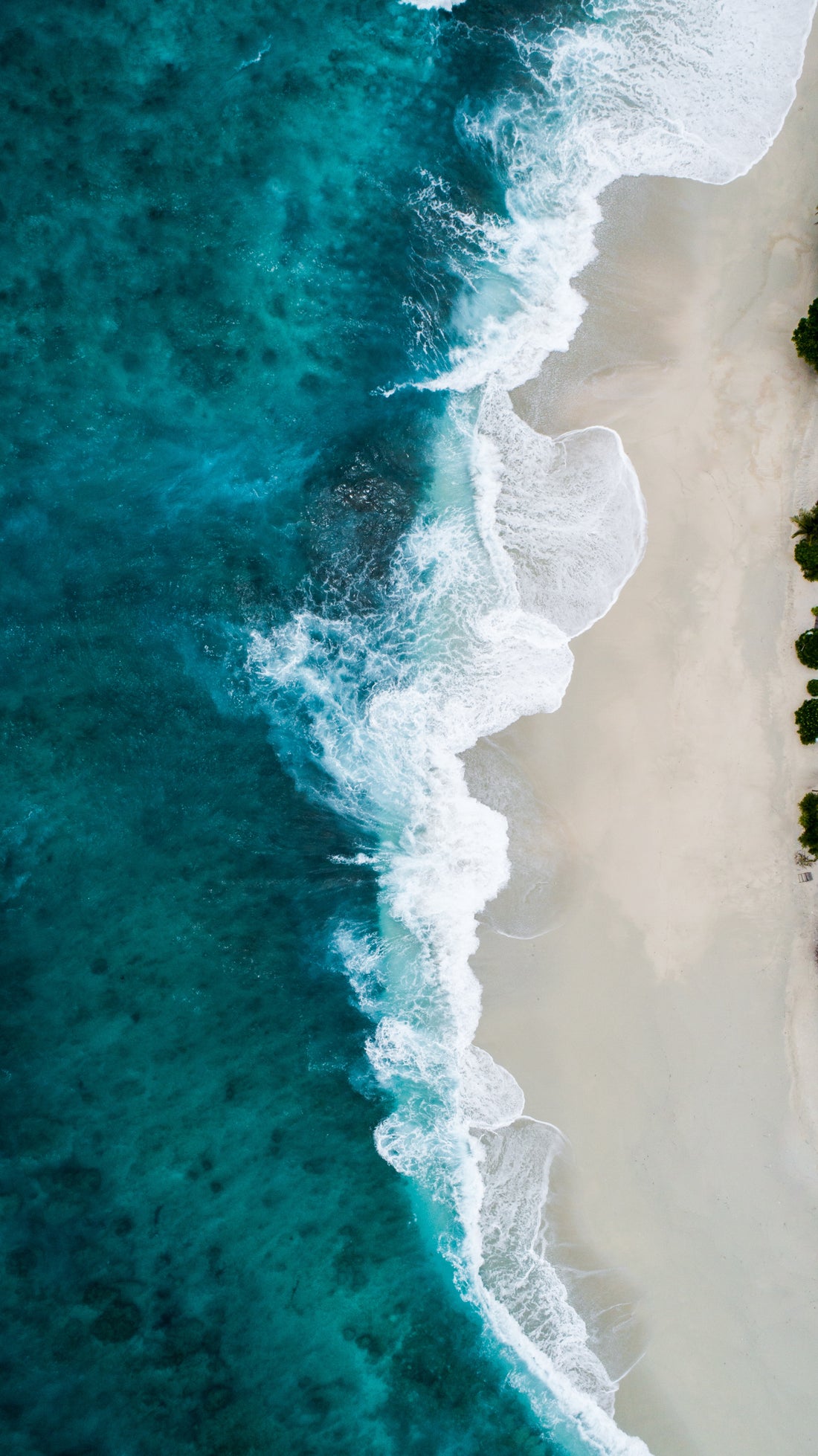 TOXIC INGREDIENTS TO AVOID IN SUNSCREEN - The Y Code